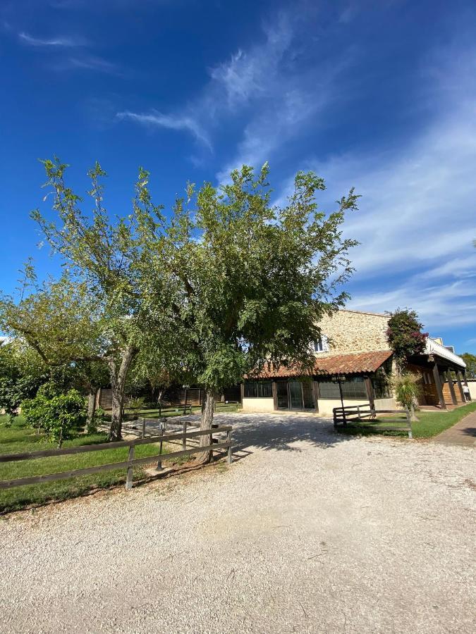 Studio 2 Personnes Vue Marais Salant Parking Et Terrasse Proche Commodite Hyères Buitenkant foto